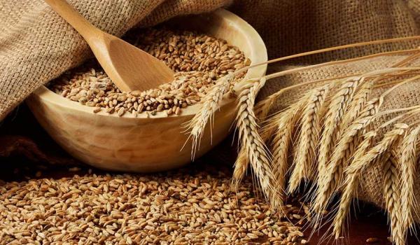 Παγκόσμια ανησυχία για την επάρκεια των σιτηρών λόγω κοροναϊού