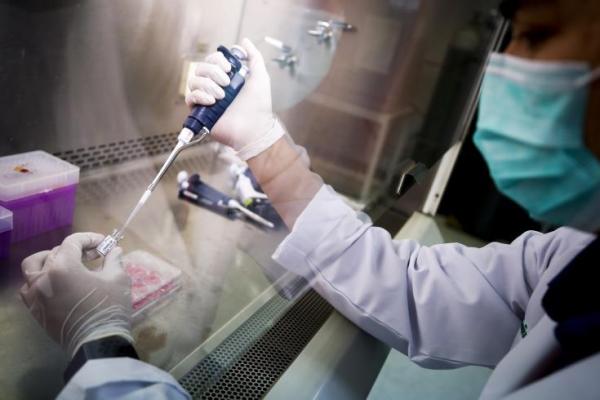 Κοροναϊός: Απογοητευτικά τα αποτελέσματα κλινικής μελέτης για την υδροξυχλωροκίνη