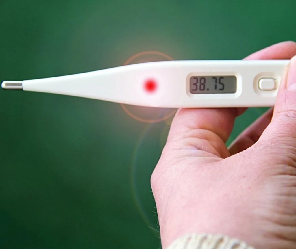 Τα ζώδια όταν έχουν υψηλό…πυρετό