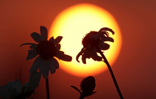 Μοναδικό timelapse της NASA με τον ήλιο