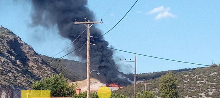 Φωτιά στη Χαλκίδα – Επί τόπου πυροσβεστικές δυνάμεις