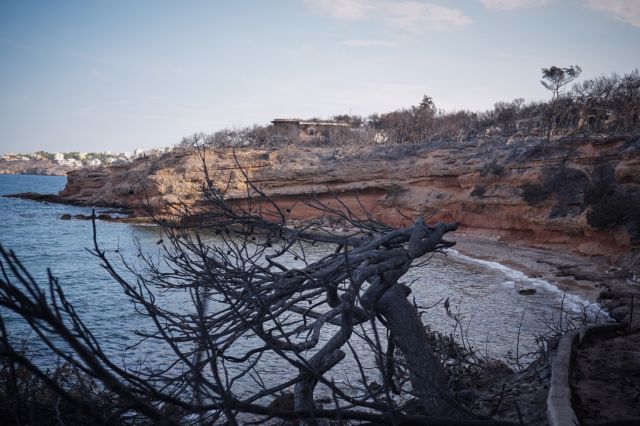 Μάτι : Η σύζυγος του δημάρχου Ραφήνας περιγράφει τις δραματικές στιγμές που έζησε στη φωτιά