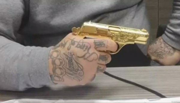 Κύκλωμα εκβιαστών: Φωτογραφίες – ντοκουμέντο με χρυσά όπλα και… πίτμπουλ