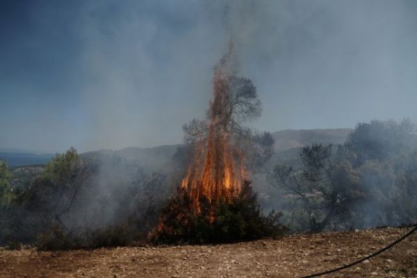 Φωτιά στον Άγιο Νικόλαο στην Κρήτη – Μεγάλη μάχη με τις φλόγες