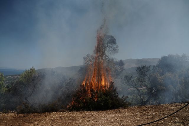 Φωτιά στον Άγιο Νικόλαο στην Κρήτη - Μεγάλη μάχη με τις φλόγες