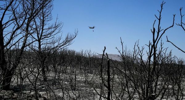 Φωτιά στα Κύθηρα: Μήνυση του δημάρχου ύστερα από τις ηχογραφήσεις – Τι αναφέρει