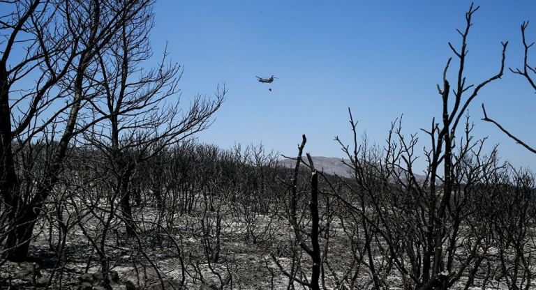 Φωτιά στα Κύθηρα: Μήνυση του δημάρχου ύστερα από τις ηχογραφήσεις – Τι αναφέρει