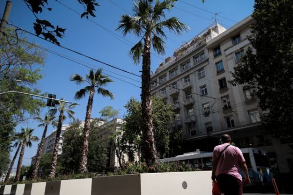 Επιστρέφουν οι φοίνικες στην Αθήνα – Από την Ομόνοια του 19ου αιώνα… στον Μεγάλο Περίπατο
