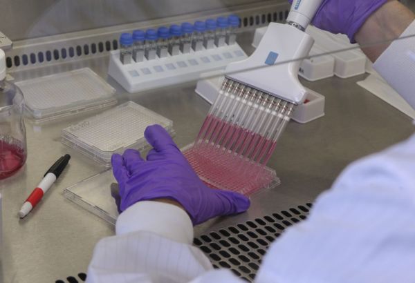 ΗΠΑ : Ανέπτυξαν υποσχόμενη θεραπεία αντισωμάτων ενώ βρίσκονταν στη δίνη του κοροναϊού