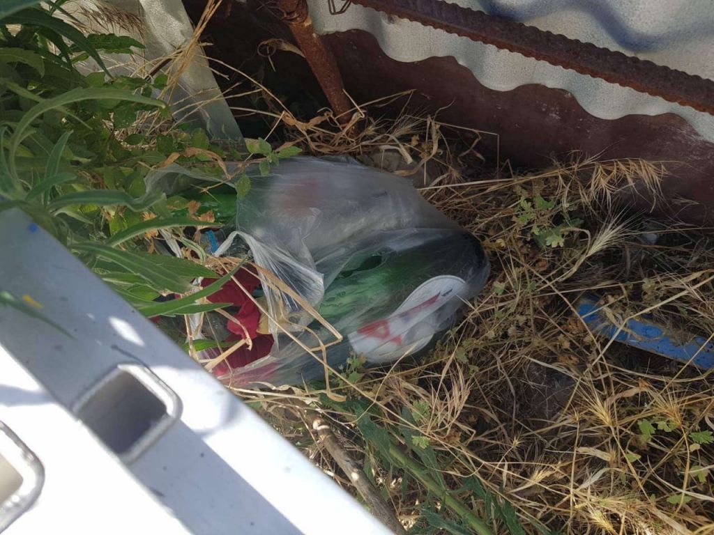 Μολότοφ και ξύλινα ρόπαλα βρέθηκαν έξω από το γήπεδο της ΑΕΚ [Εικόνες]