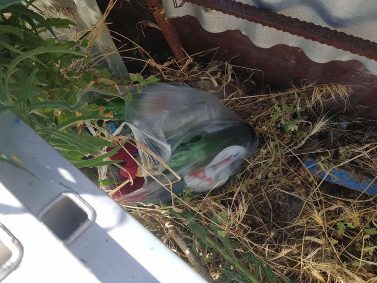 Μολότοφ και ξύλινα ρόπαλα βρέθηκαν έξω από το γήπεδο της ΑΕΚ [Εικόνες]