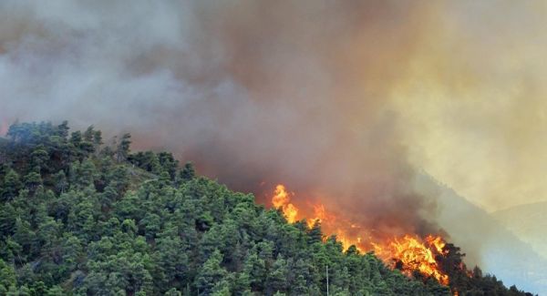 Πυρκαγιά σε σε αγροτοδασική έκταση στην Κάτω Αχαΐα