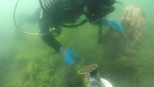 Η περιβαλλοντική κρίση δεν μπορεί να τεθεί σε lockdown