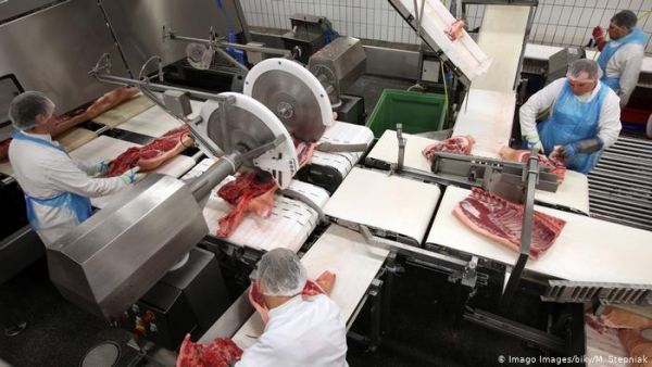 Εργασιακός μεσαίωνας σε γερμανικά σφαγεία