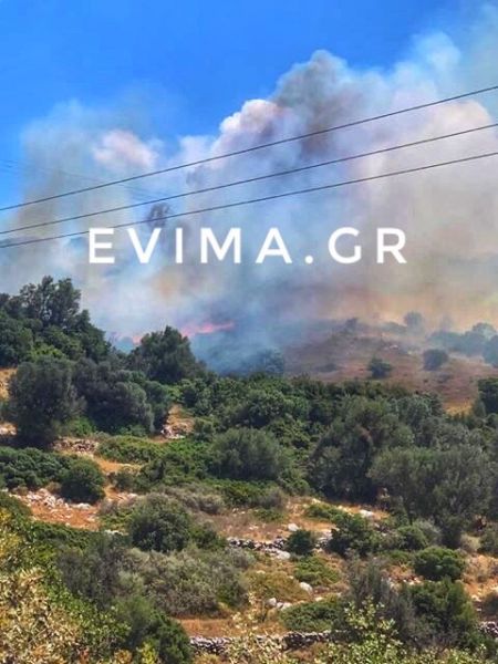 Εύβοια : Σε εξέλιξη μεγάλη δασική πυρκαγιά στην Κάρυστο