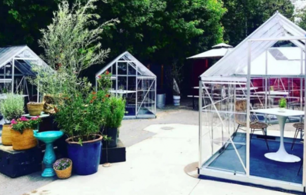 Δείπνο σε… ιδιωτικά θερμοκήπια λόγω κοροναϊού