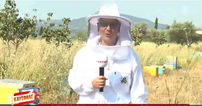«Μίνι Καύσωνας» – Mega: Πώς μπορεί να γίνει κανείς μελισσοκόμος