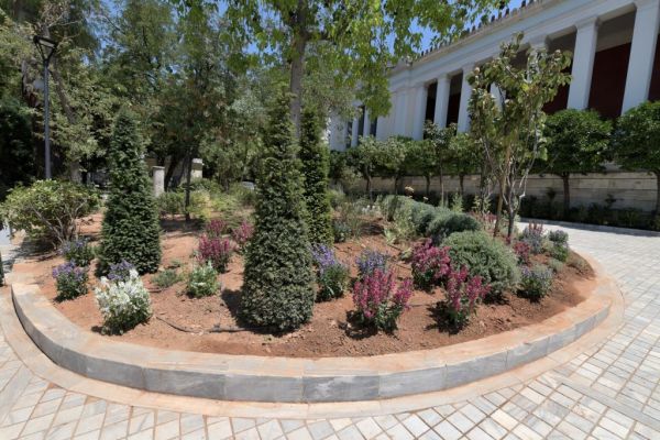 Άνθισε ξανά ο κήπος του Αρχαιολογικού Μουσείου [Εικόνες]