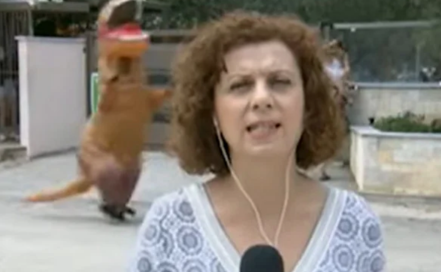 Απίστευτο σκηνικό: Δεινόσαυρος κυνηγάει… δημοσιογράφο στον «αέρα»