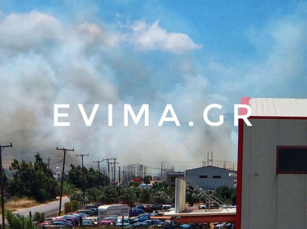 Φωτιά και στον Κάμπο Καρύστου-Ισχυρές πυροσβεστικές δυνάμεις στην περιοχή