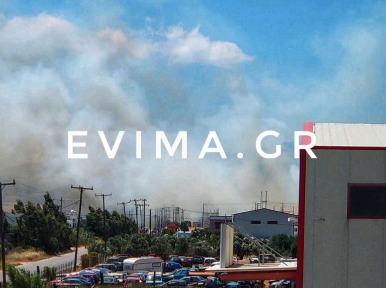 Φωτιά και στον Κάμπο Καρύστου-Ισχυρές πυροσβεστικές δυνάμεις στην περιοχή
