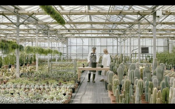 Ο Γιώργος Δρίβας μεταπλάθει στον Κήπο του Μεγάρου σε ένα αινιγματικό κόσμο