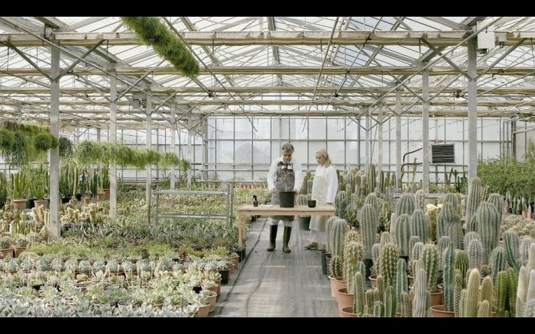 Ο Γιώργος Δρίβας μεταπλάθει στον Κήπο του Μεγάρου σε ένα αινιγματικό κόσμο