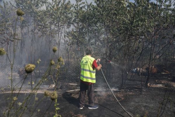 Μελέτη: Νέα όρια για τη εκτίμηση της επικινδυνότητας των δασικών πυρκαγιών
