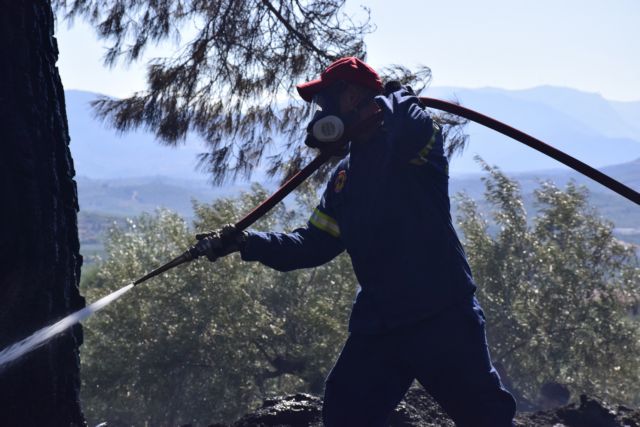 Πυρκαγιά σε δασική έκταση στην Κω - Επί τόπου ισχυρές πυροσβεστικές δυνάμεις