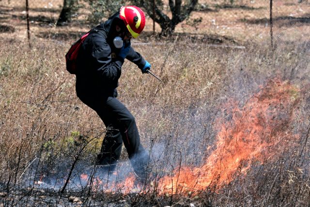 Πολύ υψηλός κίνδυνος πυρκαγιάς την Τρίτη - Δείτε σε ποιες περιοχές