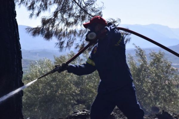 Πυρκαγιά στη Σταμάτα