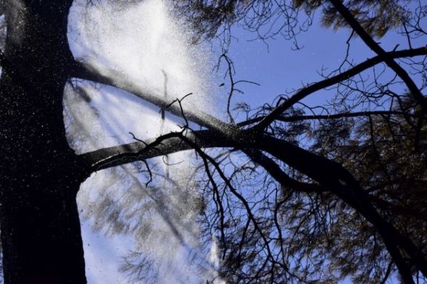 Δήμαρχος Κυθήρων : Κάηκε το νησί για να γίνουν εσωτερικά «ξεκαθαρίσματα» στην πυροσβεστική