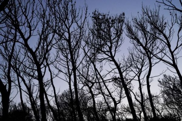 Μελάς : Ερώτηση για τις αποκαλύψεις για τις φωτιές σε Κύθηρα και Μάνη το 2017