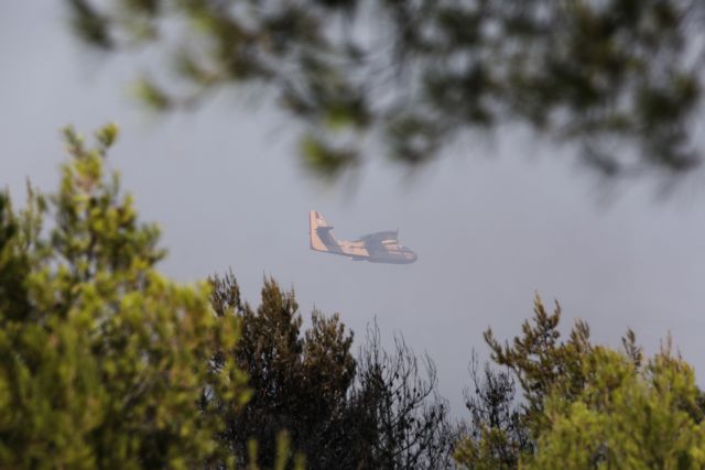 Συναγερμός στη Πυροσβεστική: Φωτιά στη Μυτιλήνη