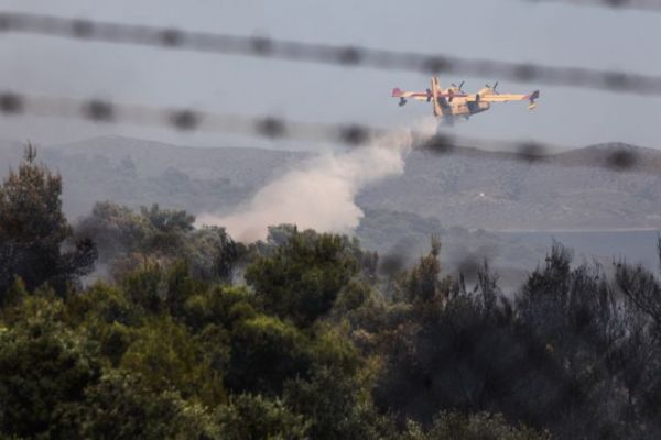 Μεσσηνία: Σε εξέλιξη πυρκαγιά στην περιοχή Πεταλίδι