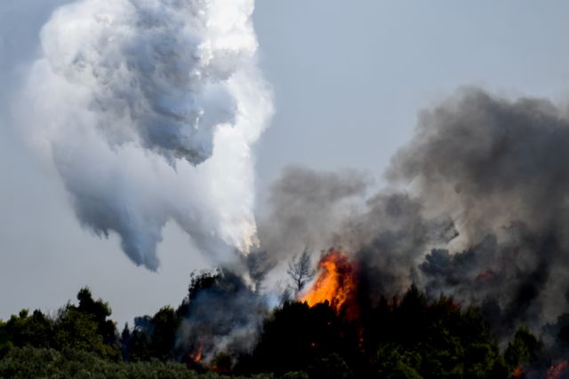 Πώς μια πυρκαγιά δημιουργεί το δικό της καιρό – Βίντεο με το νέφος pyrocumulus στις Κεχριές