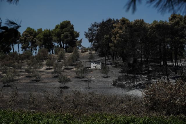 Φωτιά στις Κεχριές: Στάχτη πάνω από 32.000 στρέμματα