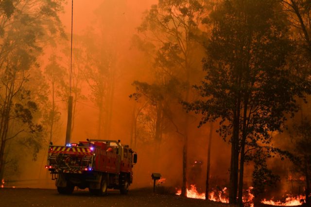 Σοκ : Τρία δισεκατομμύρια ζώα επηρεάστηκαν από τις καταστροφικές φωτιές της Αυστραλίας