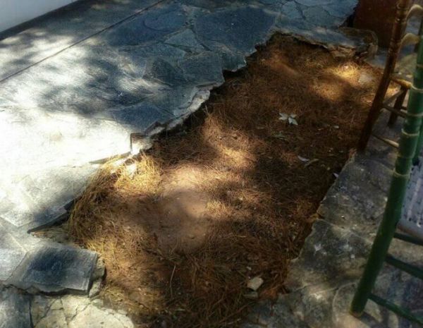 Μάτι: Φρίκη δίχως τέλος – Έριξαν σε λάκκο αταυτοποίητα μέλη νεκρών από την πυρκαγιά