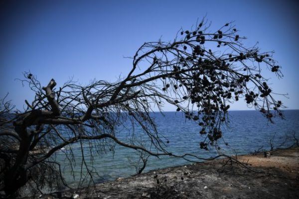Τραγωδία Μάτι: Φέτος ετάφη θύμα της φονικής φωτιάς