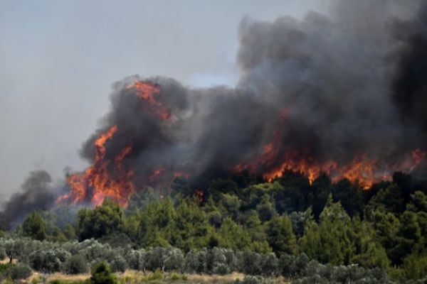Κεχριές : Εκτός ελέγχου η φωτιά – Εκκενώνεται ο οικισμός Δράσσα και μια κατασκήνωση