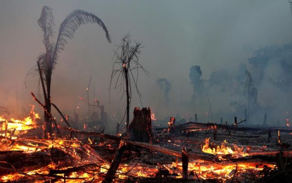 Συναγερμός : 75 πυρκαγιές ξεσπούν καθημερινά στο δάσος του Αμαζονίου