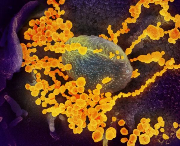 Κοροναϊός: Ανακαλύφθηκαν 6 διαφορετικοί τύποι του ιού – Ποιοι είναι οι πιο επικίνδυνοι