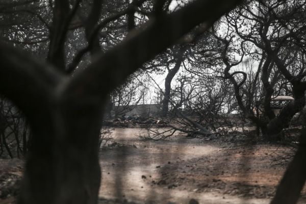 Τραγωδία στο Μάτι: Απειλές, εκφοβισμός και εκβιασμός – Οι τρεις συγκλονιστικές καταθέσεις του Λιότσιου