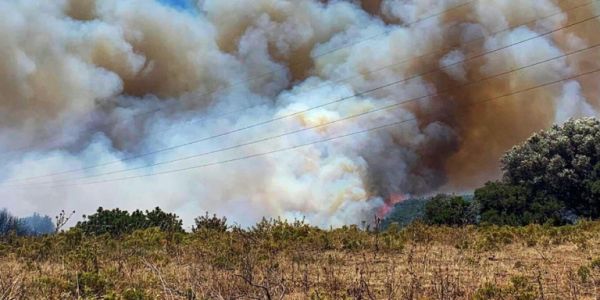 Δύσκολη η κατάσταση στην Εύβοια: Ανεξέλεγκτη η φωτιά στους Ραπταίους – Εκκενώθηκε οικισμός