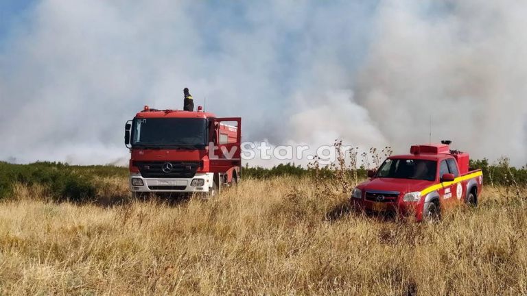 Φωτιά και στη Χαιρώνεια Βοιωτίας – Υπό έλεγχο η πυρκαγιά στη Φθιώτιδα