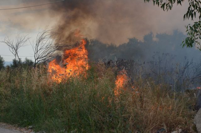 Εύβοια : Μεγάλη φωτιά στους Ραπταίους - Καίει δασική έκταση