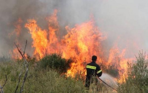 Μάχη της Πυροσβεστικής με τη φωτιά στην Κάρυστο – Κινδύνευσαν σπίτια στην Κνωσό