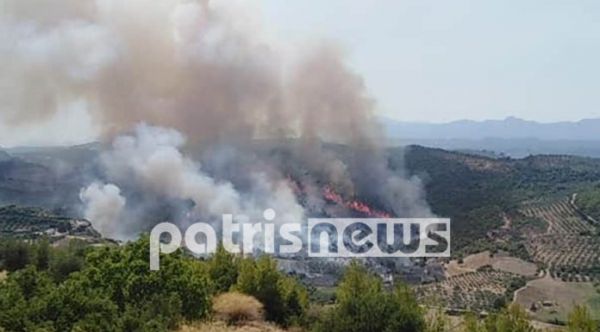 Πύρινος εφιάλτης στην Ηλεία: Ανεξέλεγκτη η φωτιά – Απειλούνται χωριά της Αρχαίας Ολυμπίας