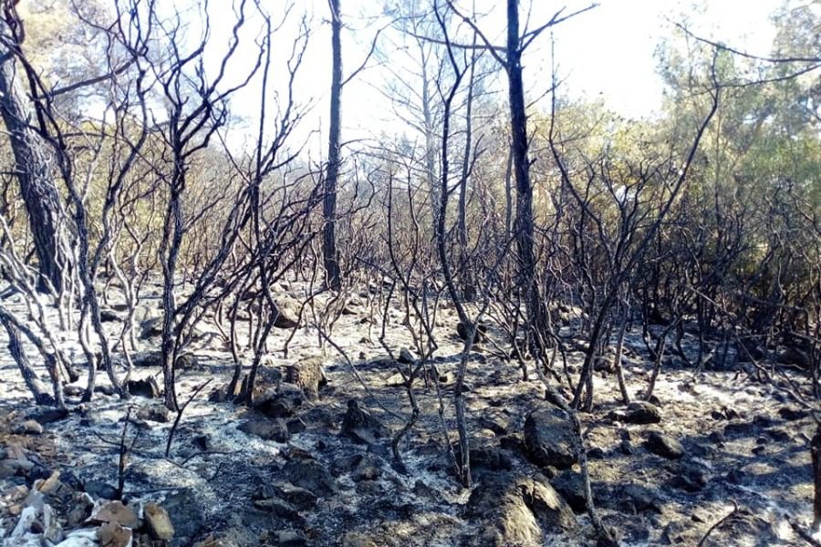 Λέσβος : Σε εξέλιξη για δεύτερη μέρα η πυρκαγιά στα βουνά της Θερμής – Τραυματίστηκε ένας πυροσβέστης